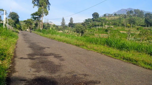 indahnya alam Gunung Lawu